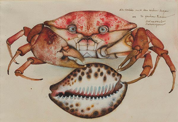 Michael Mathias Prechtl: Die Krabbe mit den schönen Augen, 1970/71. Nürnberg, Albrecht-Dürer-Haus-Stiftung; © Prechtl Rechtsnachfolge